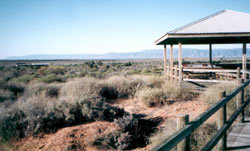 Boardwalk lookout