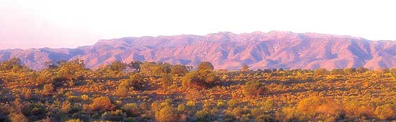 Garden and Flinders Ranges